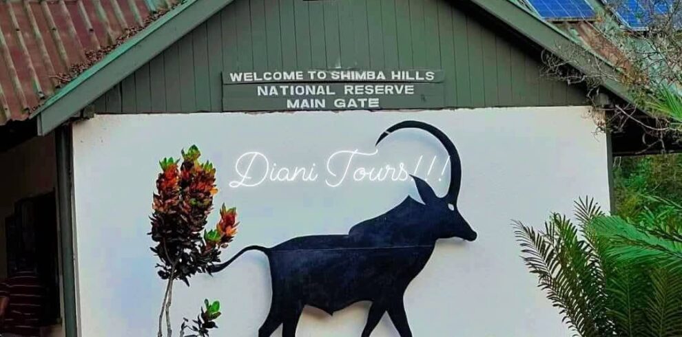 shimba hills national reserve.